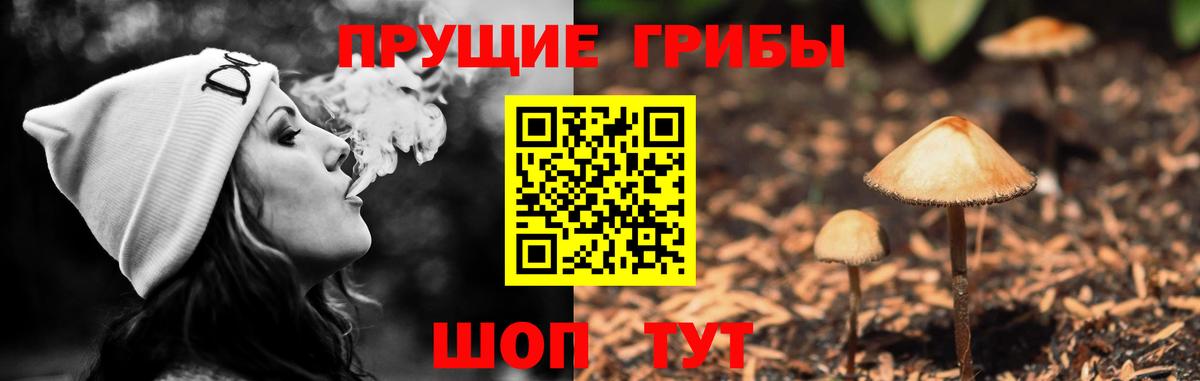 Галлюциногенные грибы Cubensis  Вход с VPN  наркота  Советский 