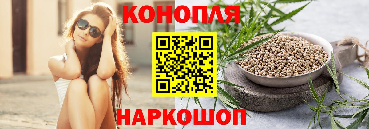 Конопля сатива  Канабис SATIVA & INDICA  Советский  Вход с VPN 